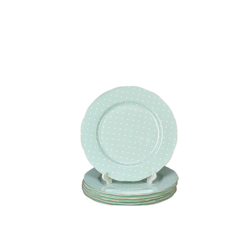 Set of 6 Pieces 10 inches Dinner Plate