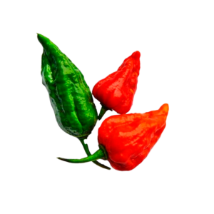 বম্বে মরিচ (২৫০গ্রাম)