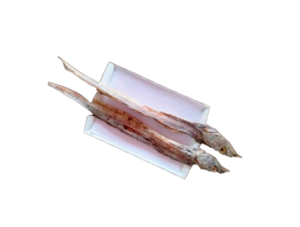 Taki Shutki