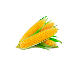ভুট্টা (৫০০গ্রাম)